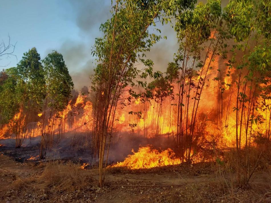 รับแจ้งเหตุไฟไหม้ป่าในพื้นที่ตำบลวังนกแอ่น บริเวณเขาเรดาร์ หมู่ที่ 3 บ้านบ่อ